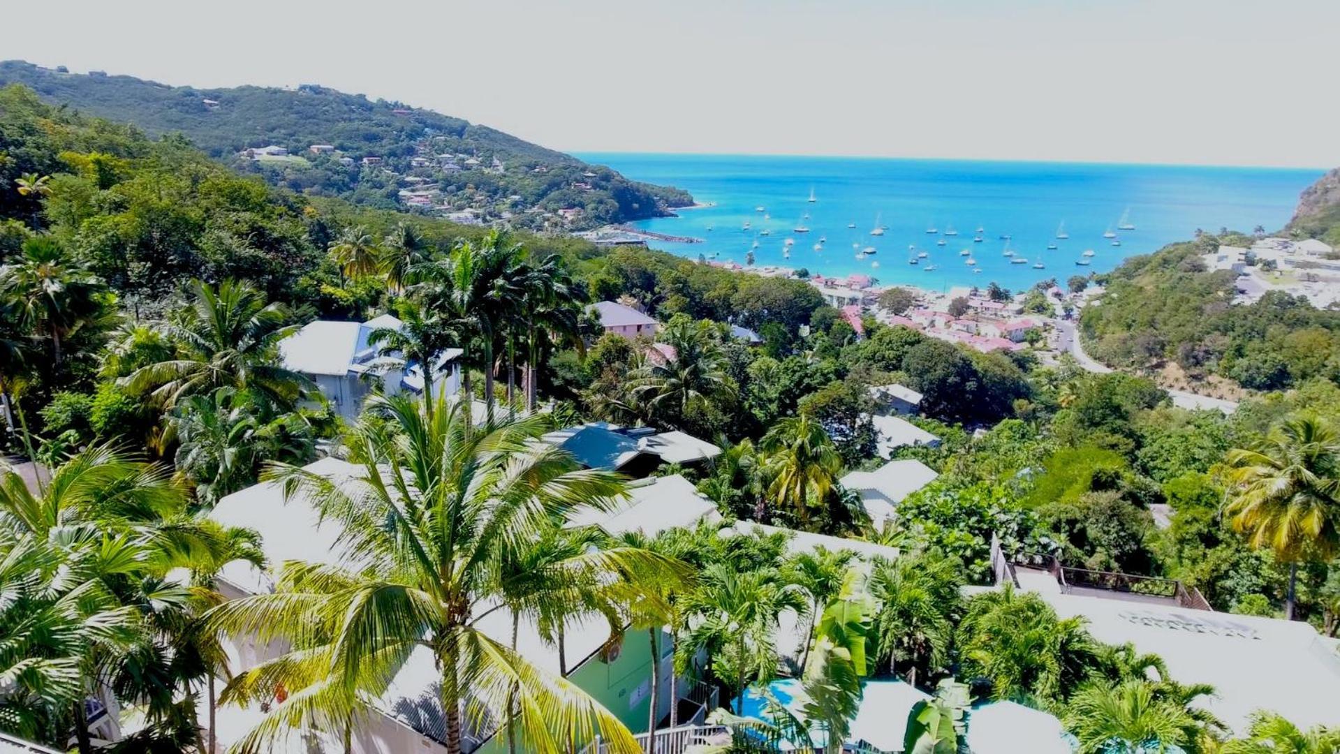 O Coeur De Deshaies Appartements Grande Anse Et Amandiers Eksteriør bilde